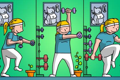 No hay que empezar con sesiones de una hora. Se debe establecer un tiempo más corto e ir aumentando cuando se avance