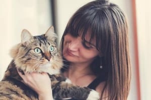 La guía práctica esencial para mejorar la relación con tu gato