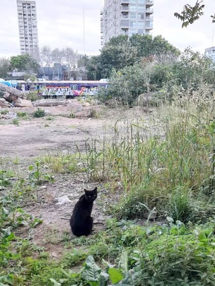 "No me dejaba tocarla".