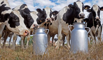 No obstante esta situación actual, en la entidad cooperativista ven con expectativa la posibilidad de que esta recuperación salarial impulse una mejora en el consumo, que tarde o temprano podría beneficiar a las economías regionales