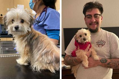 "No sé cuál fue su pasado, pero estoy tratando de mejorar su futuro".