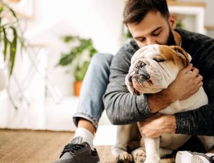 No se debe castigar ni regañar a las mascotas por su miedo