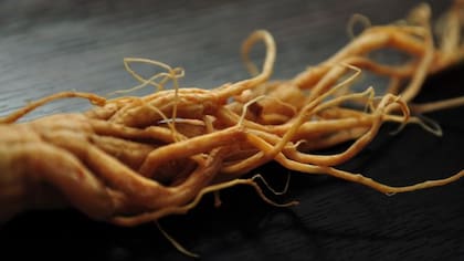 “No se han realizado investigaciones sobre la toxicidad potencial de beber grandes cantidades de cúrcuma u otros bioactivos vegetales, lo cual es preocupante”, dice una experta