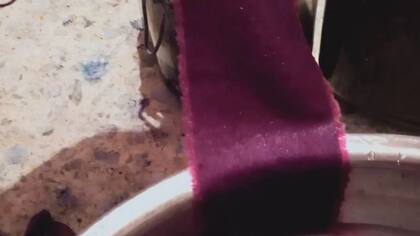 No se sabe por qué los caracoles Murex producen los precursores químicos de la púrpura de Tiro, pero una idea es que los utilizan para paralizar a sus presas