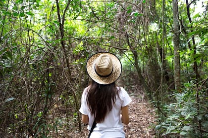 ¡No te olvides de un buen sombrero, protector solar y repelente!