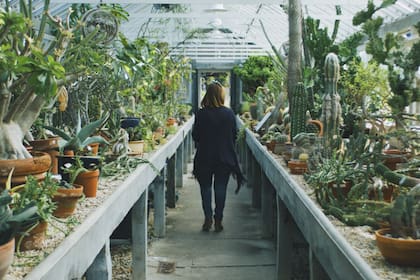 ¿No tenés tiempo de ocuparte? Fácil, cultivá autóctonas.