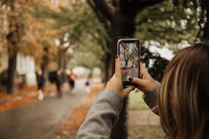 Qué hacer para recuperar las fotos que eliminaste sin querer