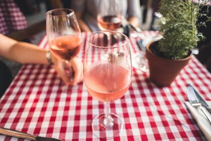 No todos tienen el mismo color, algunos son asemejan la piel de un bebé, otros son casi fluorescentes