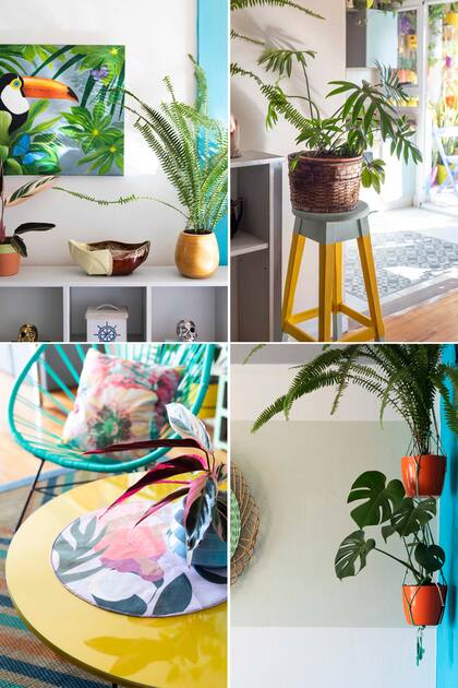 “No voy a negar que hay muchas plantas y que cuesta mantenerlas, pero la energía que brindan compensa largamente el esfuerzo”, comparte Ramiro.