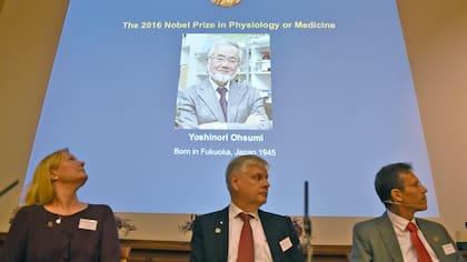 Nobel de Medicina para Yoshinori Ohsumi por descubrir el procedimiento de la autofagia