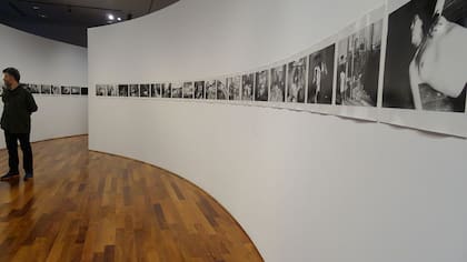 Nobuyoshi Araki en el CCK