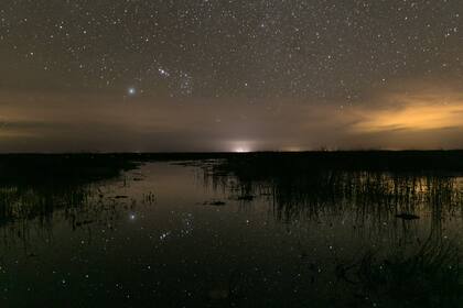 Noche estrellada en los esteros.