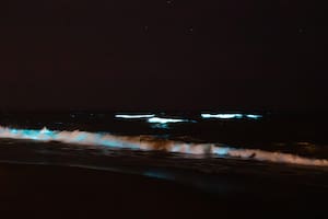 Un fenómeno fosforescente en el mar emociona a turistas en Punta del Este: qué es y dónde verlo
