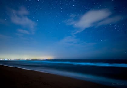 Noctilucas en Punta Negra registradas el 25 de diciembre de 2025
Foto: X/Leonor Hernández/@The_view_of_Leo