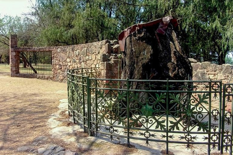 .nogal de Sarmiento