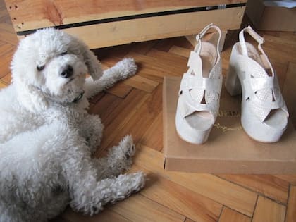 Nolita piensa que siempre le quiero sacar a ella, y posa