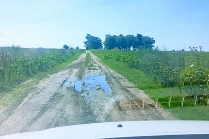 ”Nos pareció que esa dinámica exponencial era también exorbitante, desubicada porque estaba por encima de muchos otros ítems”, explicó a LA NACION el productor Rafael Hary, socio de la Asociación Rural de Henderson