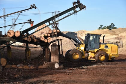"Nos vamos a quedar rápidamente sin mercados, porque también nos ponen un impuesto PAIS para importar insumos y porque nuestros vecinos y competidores en los mercados no tienen retenciones”, dijo a LA NACION el empresario Guillermo Fachinello, titular de Apicofom