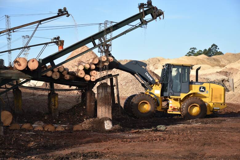 “Será enorme”: el sector foresto industrial describió con dureza cómo impactará una suba de las retenciones