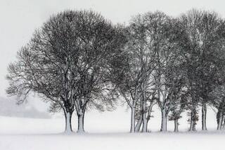 En fotos: Europa se cubrió de blanco por un temporal de nieve