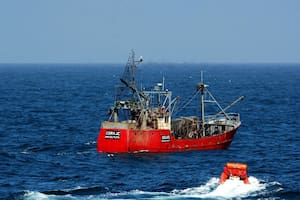 Trazabilidad en la industria pesquera: una oportunidad perdida