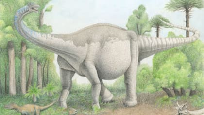 Notocolossus, el colosal dinosaurio descubierto en Mendoza