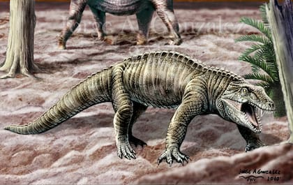 Recreación del notosuchus terrestris