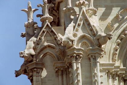 Notre Dame: los secretos que esconden las monstruosas gárgolas de la catedral más icónica de Europa