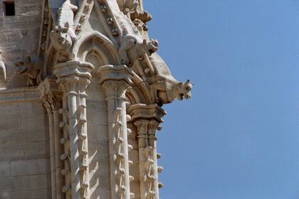 Notre Dame: los secretos que esconden las monstruosas gárgolas de la catedral más icónica de Europa