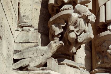 Notre Dame: los secretos que esconden las monstruosas gárgolas de la catedral más icónica de Europa