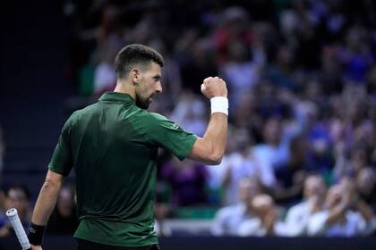 Novak Djokovic, ganador