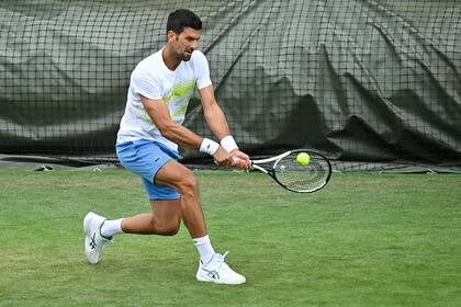 Novak Djokovic, actual tetracampeón de Wimbledon, buscará su quinto título en fila y el octavo para su palmarés