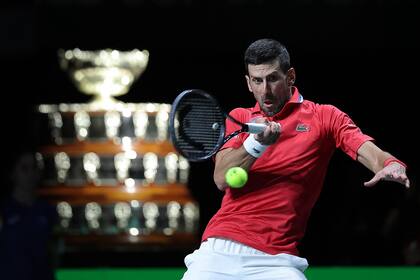 Novak Djokovic batió a Cameron Norrie y liquidó la serie entre Serbia y Gran Bretaña en la etapa final que se juega en Málaga.