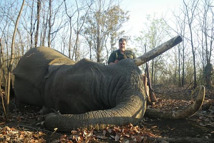 Noya también participó de cacerías de elefantes