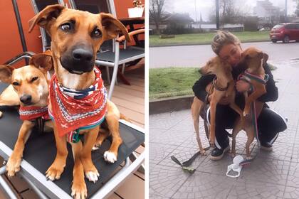 Nube, Alma y Lore: unidas en una historia con final feliz.