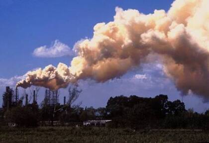Las empresas estadounidenses no están obligadas a demostrar si los químicos de sus productos son seguros antes de sacarlos al mercado