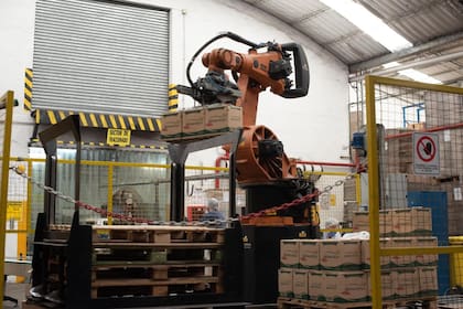 “Nuestra eficiencia más que buscar en escala, la hemos buscado en integración. Tenemos todos los procesos integrados”, afirma el directivo