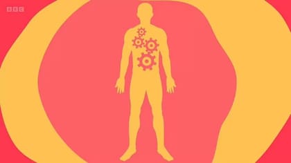 Nuestras actitudes pueden influir en la forma en la que funcionan nuestros cuerpos