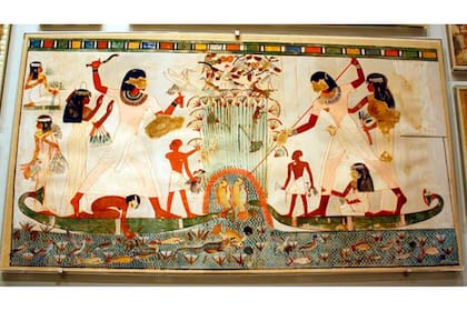 Nuestras habilidades de cooperación y comunicación fueron claves en el desarrollo cognitivo de la especie humana