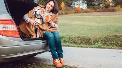 El Certificado Veterinario Internacional (CVI) garantiza la sanidad de los animales que se trasladan al país de destino, amparando así a cada mascota para que pueda viajar sin problemas