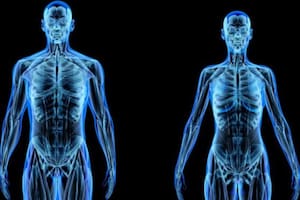 Nuestro cuerpo está fundamentalmente formado por átomos