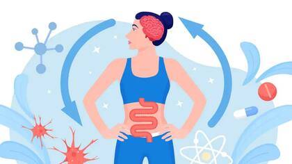 Nuestro intestino alberga más de 100 millones de células nerviosas