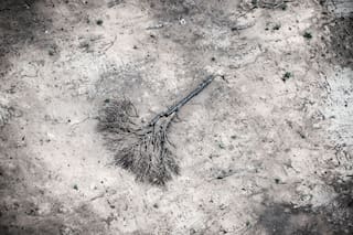 La fuerte advertencia de Greenpeace por los desmontes ilegales