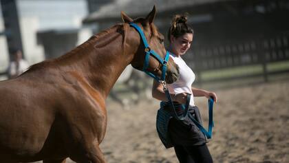 Nuestros Caballos contará con demostraciones, capacitaciones, desafíos y cientos de actividades para disfrutar de nuestras tradiciones en familia