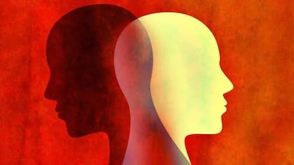 Nuestros cerebros se sienten atraídos por esta visión del mundo en blanco y negro