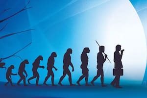 El cuerpo humano no es una obra maestra del diseño, sino un mosaico de compromisos evolutivos