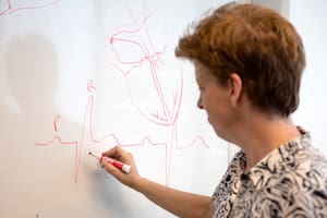 Describen el rol clave de una estructura del corazón en el ritmo cardíaco: nueva perspectiva terapéutica