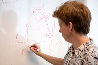 Describen el rol clave de una estructura del corazón en el ritmo cardíaco: nueva perspectiva terapéutica