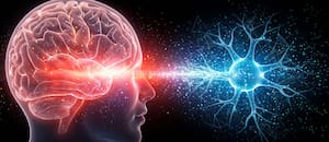 ¿Cómo aprende el cerebro? Seis mitos sobre el aprendizaje que la ciencia desmonta