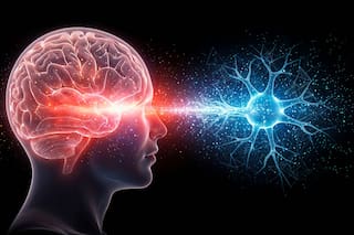 La conexión entre el cerebro humano y la energía electromagnética de la Tierra